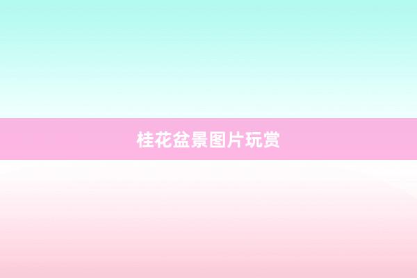 桂花盆景图片玩赏